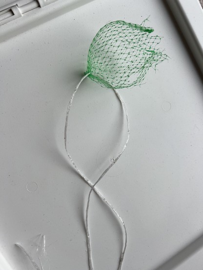 Ein leeres und kaputtes Netz von einem Meisenknödel an einer Schnur 