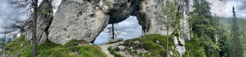Offenes Felsentor in einer Felswand mit einem Baum dahinter 