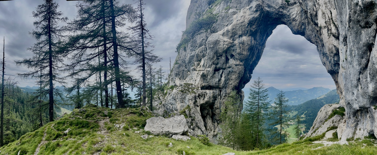 Offenes Felsentor in einer Felswand mit Bäumen links