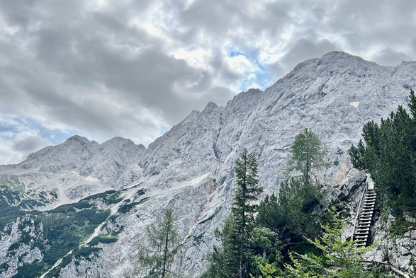 Bergpanorama mit Bäumen vorne und einer Steigleiter rechts 