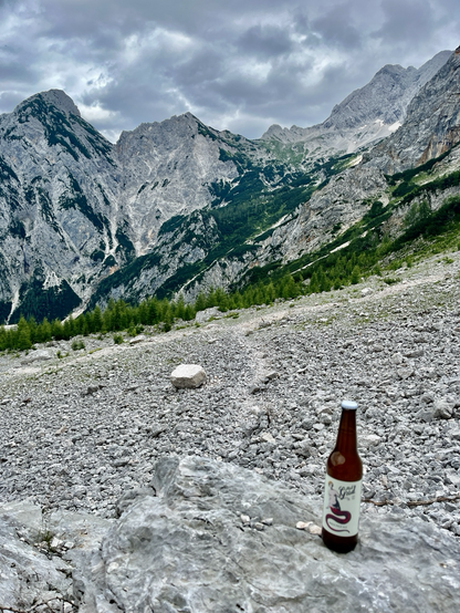 Bergpanorama mit Geröllfeld vorne und meine Bierflasche 