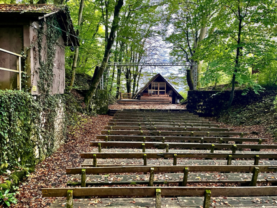 Waldbühne mit vielen Holzbankreihen vorne, einem Bühnenhaus hinten, umgeben von Bäumen 