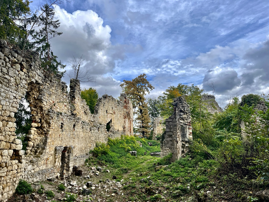 Burgruine mit mächtigen Steinwänden bereits grossteils verfallen und mit Gebüsch verwachsen 