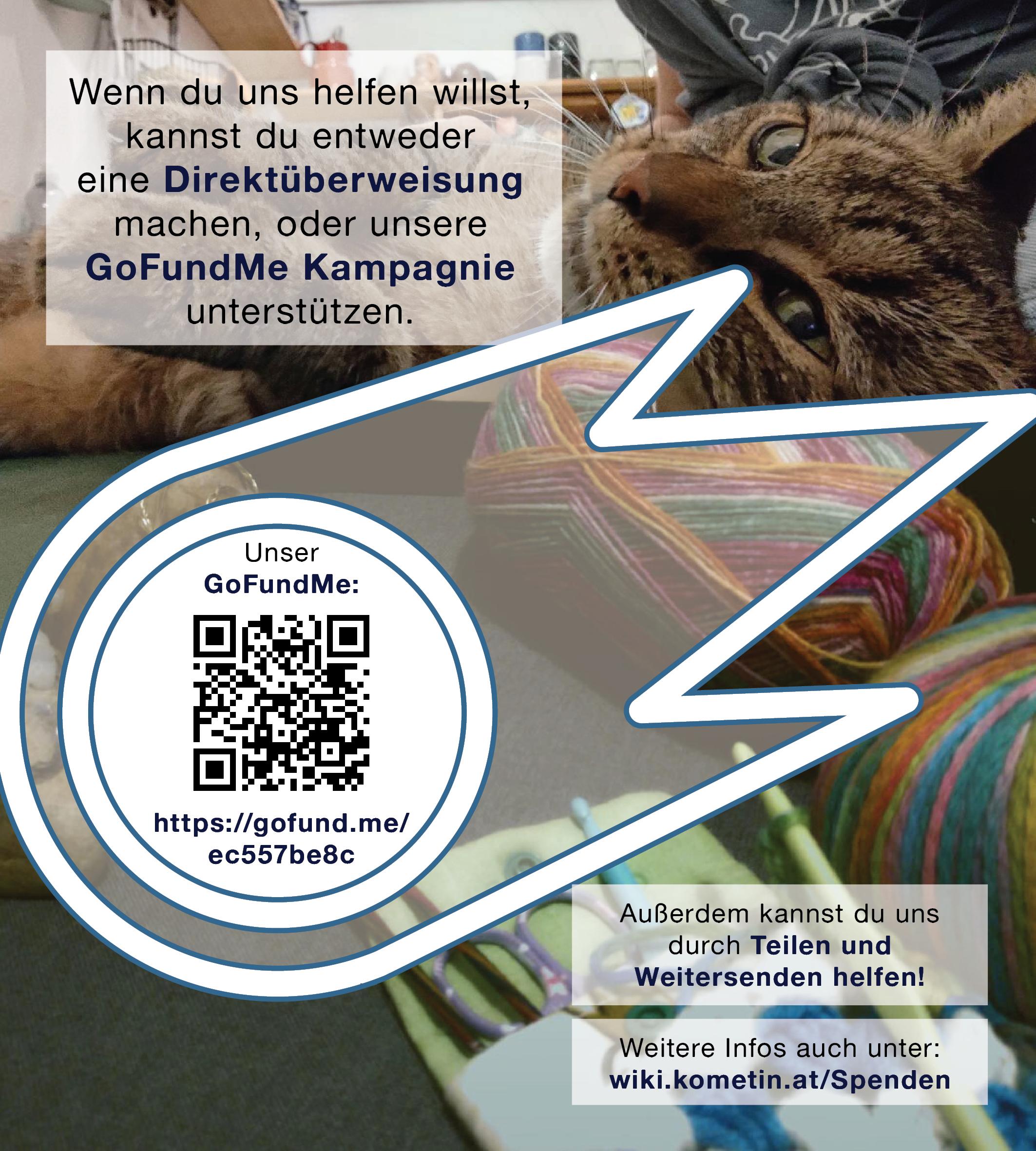 Link zur GoFundMe-Kampagne, wie im Beitragstext