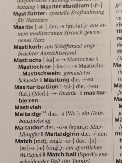Auf "Mastochs" folgt anstatt dem noch fehlenden "Mastodon" stattdessen "Masturbation"