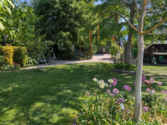 garden with flowers