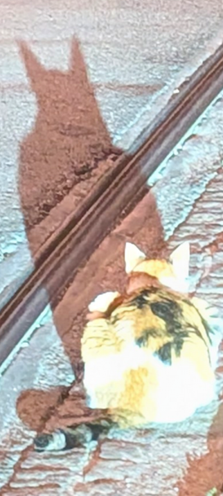 Another shot in detailed zoom