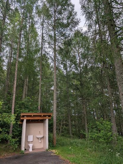 WC im Wald

(Campingplatz, Station für Wohnwagen)